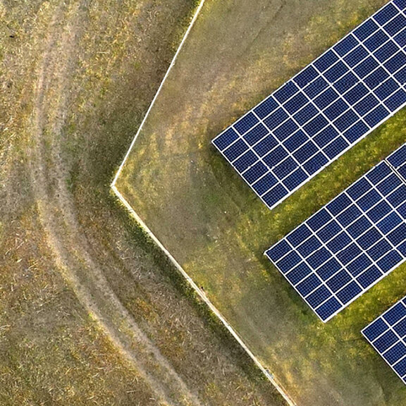 Luftaufnahme eines Solarparks mit mehreren Reihen von Solarmodulen auf der rechten Seite und einem grasbewachsenen Feld mit Bäumen auf der linken Seite.