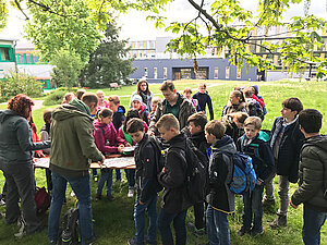 Nahrungsgrundlage für Vögel auf dem Bender Betriebsgelände eingesät